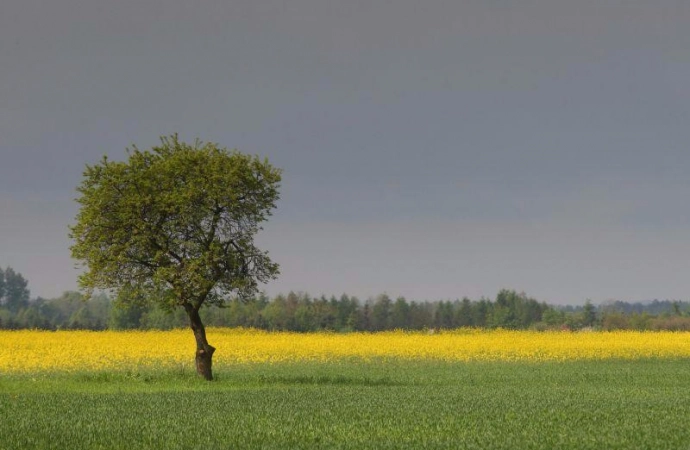 {Rząd podzielił wsparcie dla gmin popegeerowskich.}